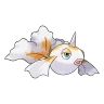 Goldeen shiny form