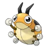 Ledyba shiny form