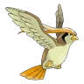 Pidgeot shiny form