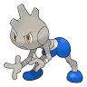 Tyrogue shiny form