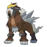 Entei shiny form