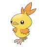 Torchic shiny form