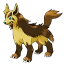 Mightyena shiny form