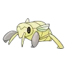 Nincada shiny form
