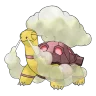 Torkoal shiny form