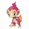 Chimchar shiny form