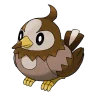 Starly shiny form