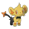 Shinx shiny form