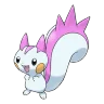 Pachirisu shiny form