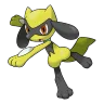 Riolu shiny form