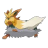 Stoutland shiny form