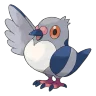 Pidove shiny form