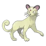 Persian shiny form