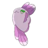 Alomomola shiny form