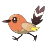 Fletchling shiny form