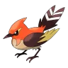 Fletchinder shiny form