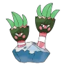 Binacle shiny form