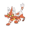 Torracat shiny form