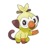 Grookey shiny form