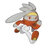 Raboot shiny form