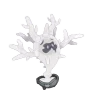 Cursola shiny form