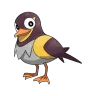 Wattrel shiny form