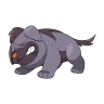Maschiff shiny form