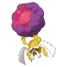Rabsca shiny form
