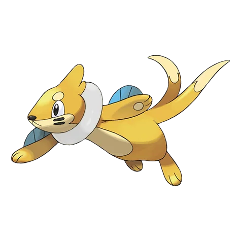 Buizel shiny form