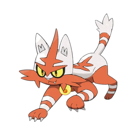 Torracat shiny form
