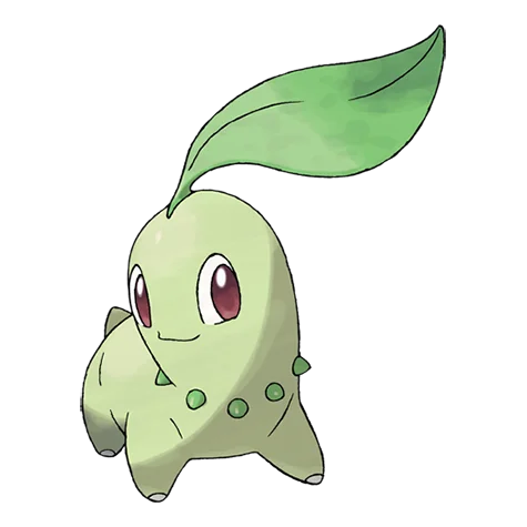 菊草葉 #152 official artwork - grass type Pokemon