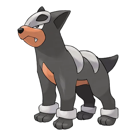 Houndour #228 official artwork - dark/fire type Pokemon