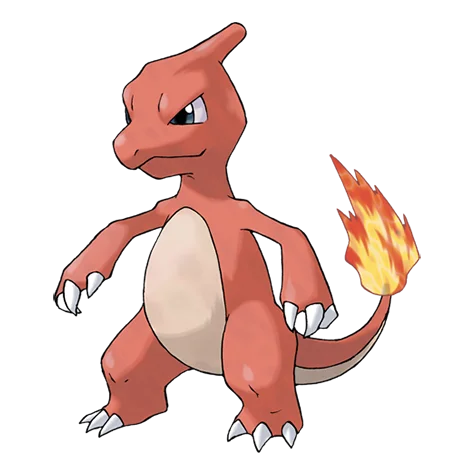 Charmeleon - fire type Pokémon #005