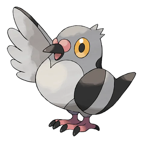 Pidove #519 official artwork - normal/flying type Pokemon