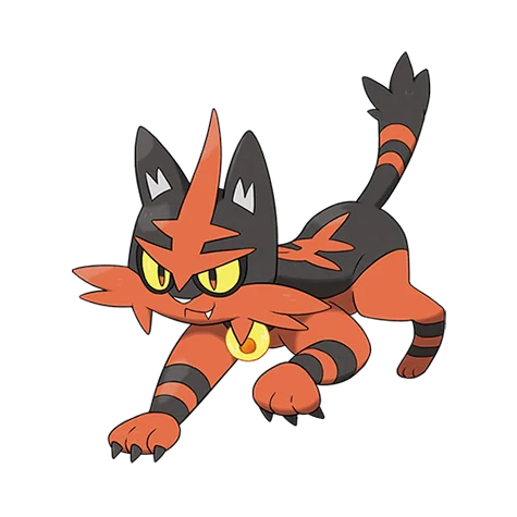 Torracat - fire type Pokémon #726