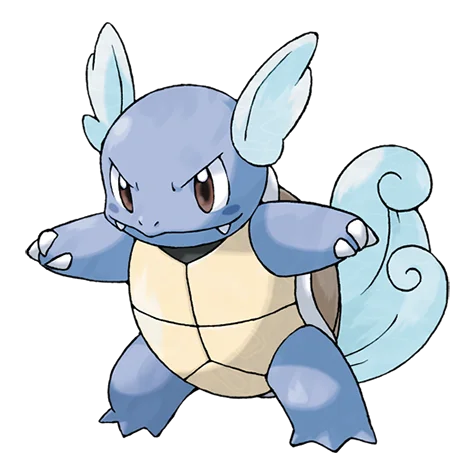 Wartortle #008 official artwork - water type Pokemon