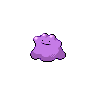 ditto background test