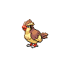 pidgey background test