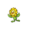 sunflora background test