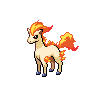 ponyta background test